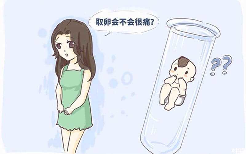 2026菁华试管首诊需要多少钱？对比郑州圣玛顺产套餐