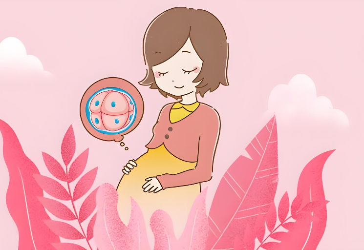 天津一站式代怀保密咨询服务，天津供卵试管中心怎样