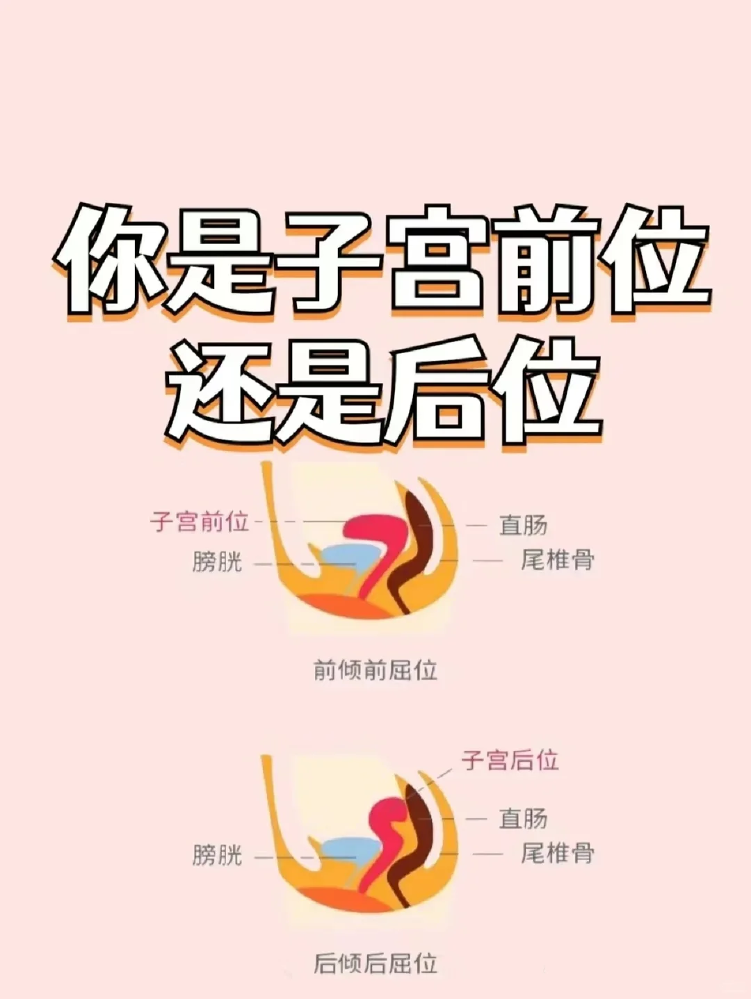 北京周边：北京代生费用大概多少？廊坊试管供卵中心在哪