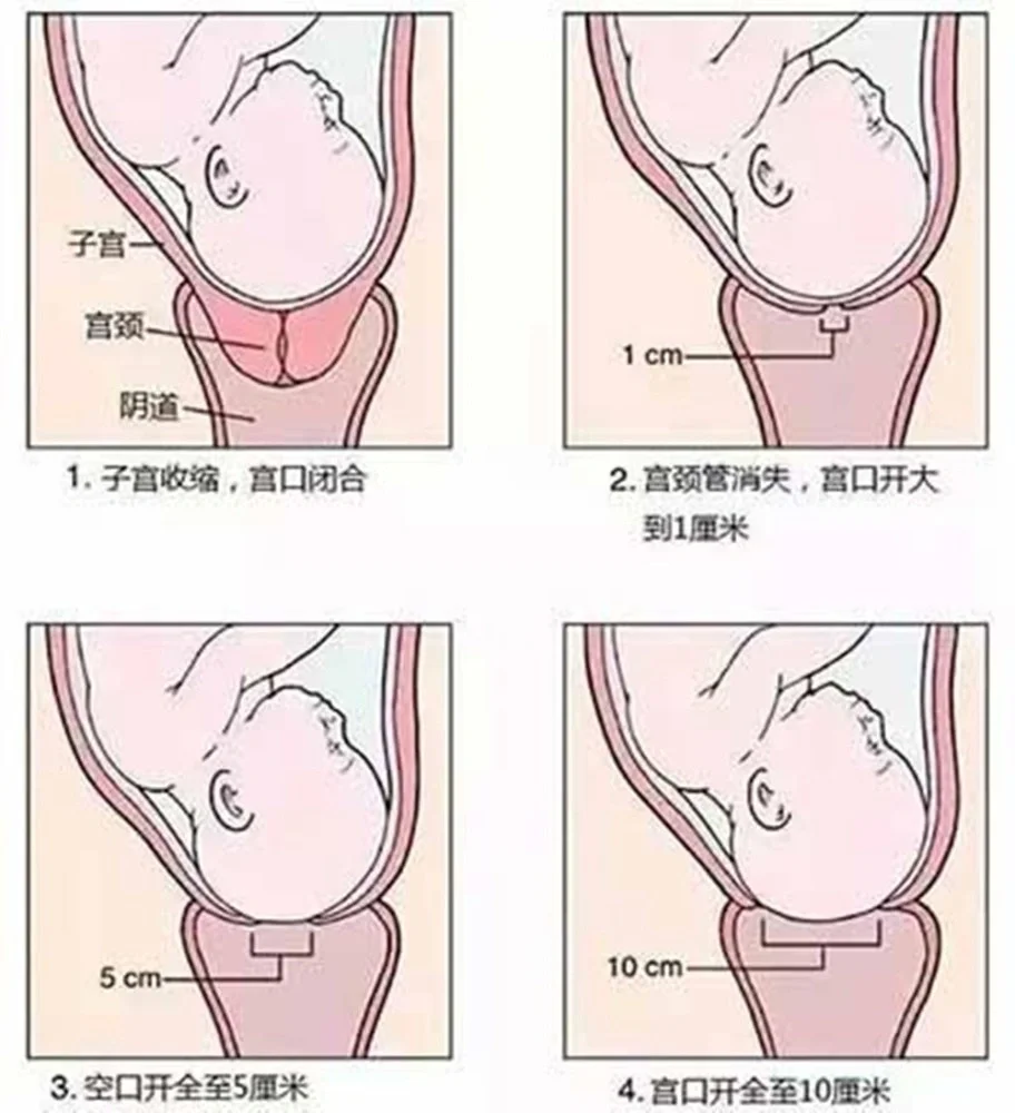 <b>天津借卵生子成功率有多高？2026天津借卵生子医院推荐</b>