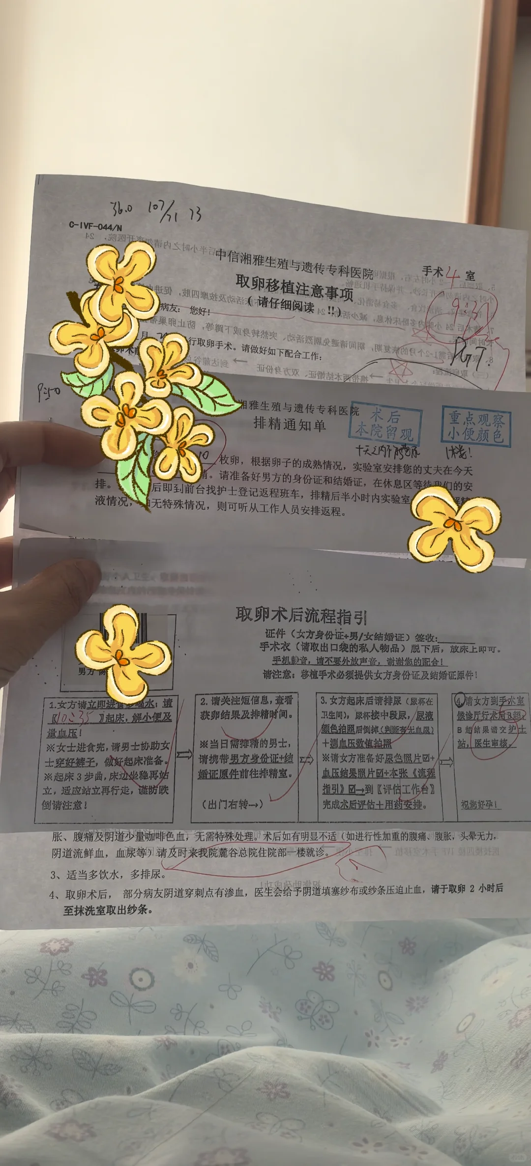 绝经了供卵试管还能成吗？反复胎停怎么做三代防流产