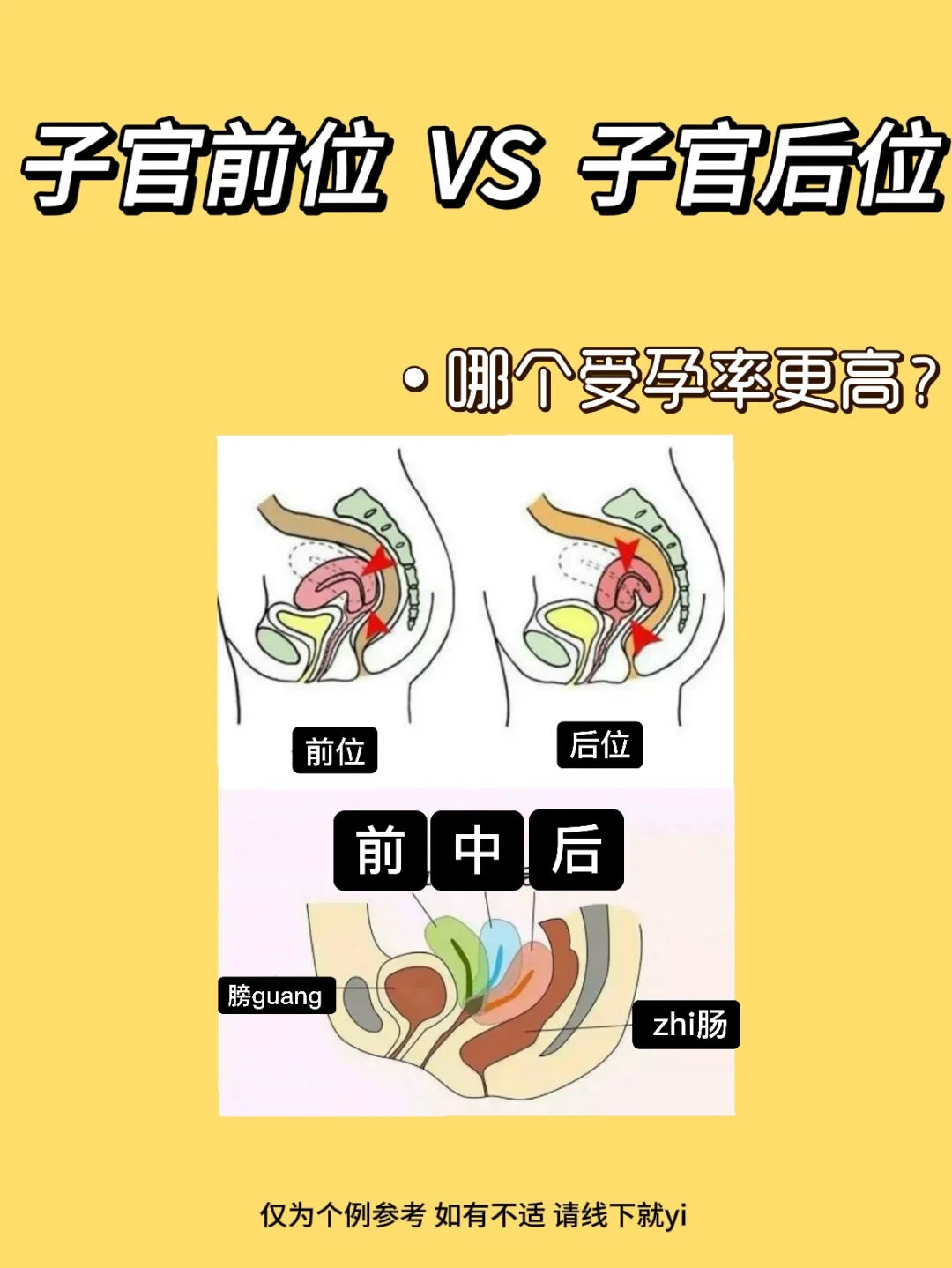 2026中国单身做试管婴儿现状，探索失独家庭的后半生