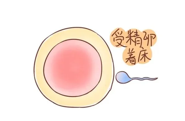 2026同性女怎么去产子？科普为什么叫彩虹男